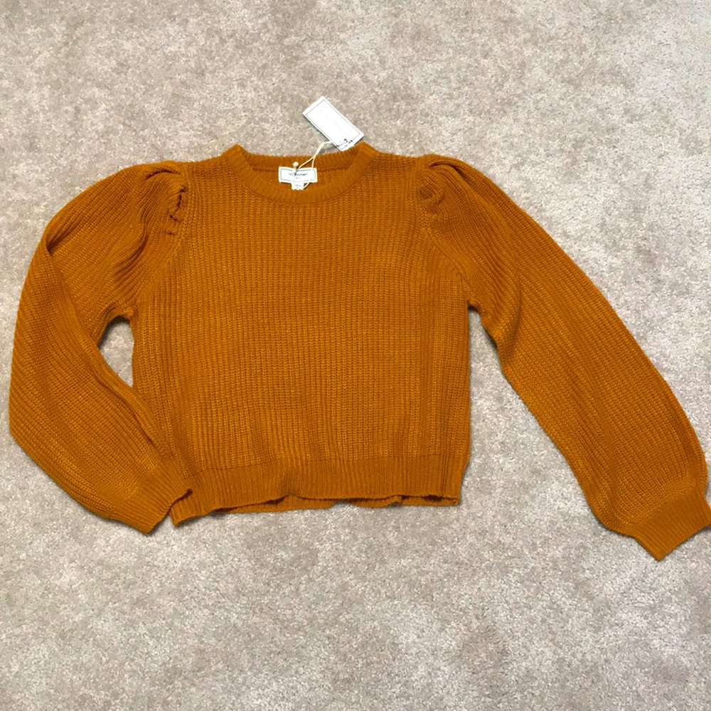 Knit Puff sleeve Cropped Sweater